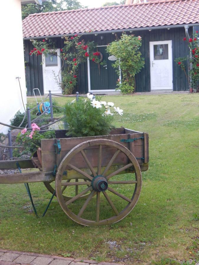 Ferienwohnung Zur Egge Bad Driburg Bagian luar foto